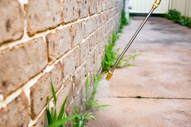 Best Pest Exclusion Services  in Deenwood, GA